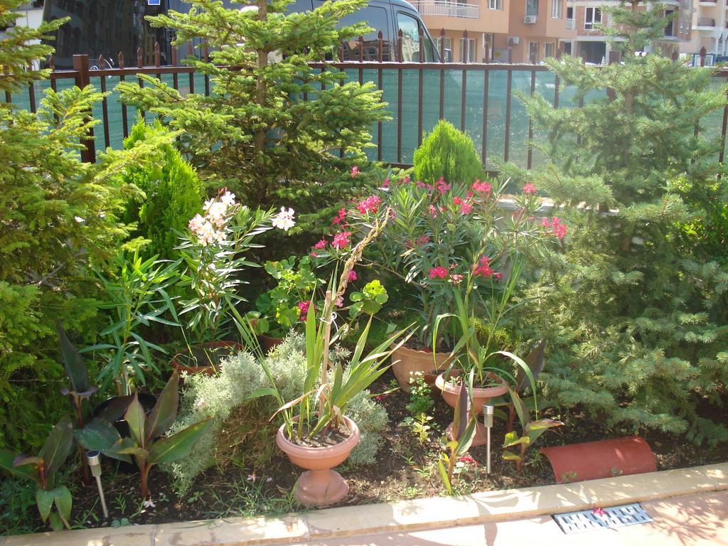 Summer Breeze Apartments Sunny Beach Ngoại thất bức ảnh